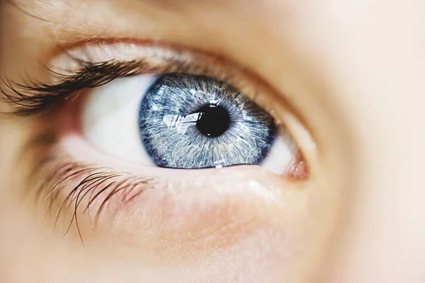 Insightful look blue eyes boy — Stock Photo, Image