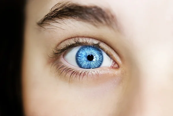 Regard perspicace yeux bleus garçon — Photo