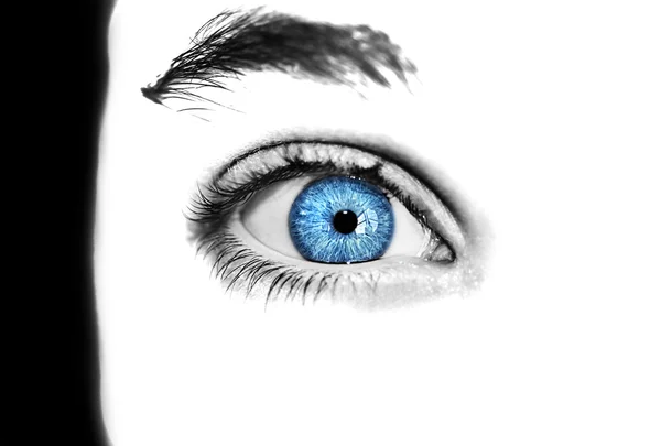 Mirada perspicaz ojos azules chico — Foto de Stock