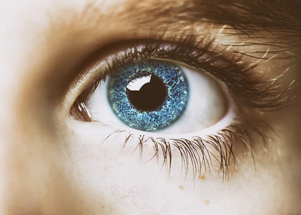 Wnikliwe spojrzenie chłopca niebieskie oczy — Zdjęcie stockowe