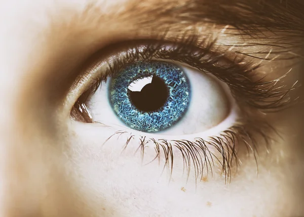 Insightful look blue eyes boy — Stock Photo, Image