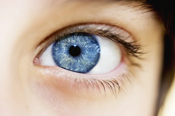 Mirada perspicaz un hermoso niño ojos azules —  Fotos de Stock