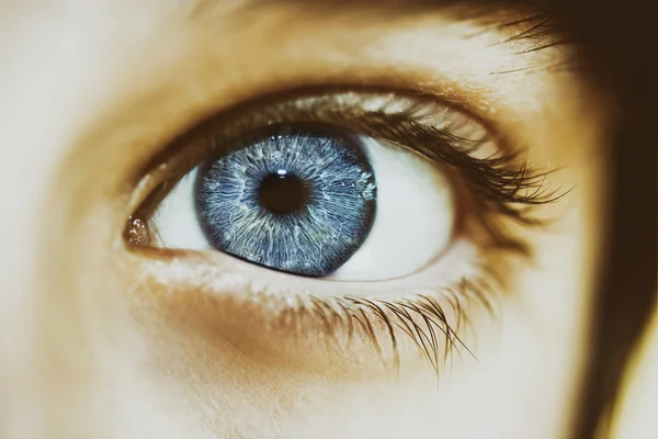 Aufschlussreicher Blick eines schönen Jungen mit blauen Augen — Stockfoto