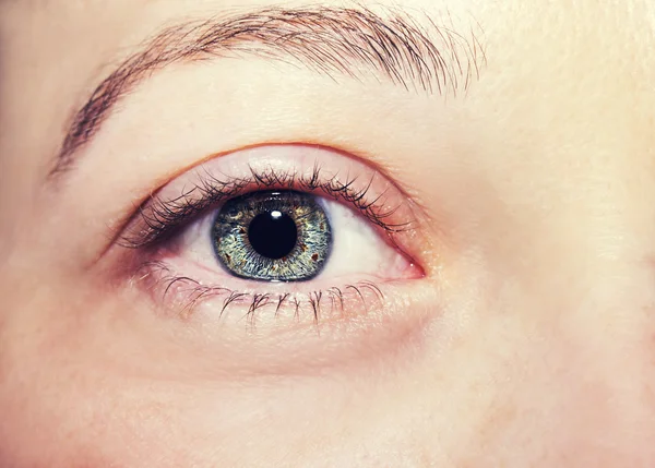 Hermosa mirada perspicaz ojos azules —  Fotos de Stock