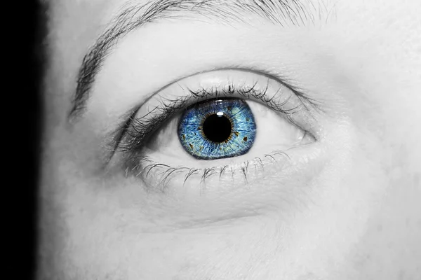 Piękny wygląd głębokie błękitne oczy — Zdjęcie stockowe