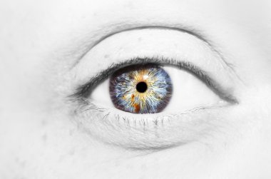 Güzel yorum içeren görünüm renk gözleri