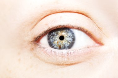 anlayışlı göz mavi gözler