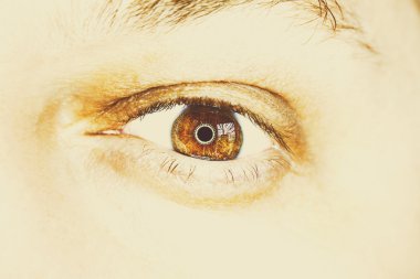 adamın kahverengi göz görüntüsünü kapat.