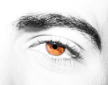 adamın kahverengi göz görüntüsünü kapat.