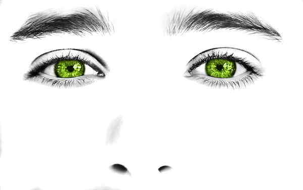 Mooie inzichtelijke groene kijken ogen — Stockfoto
