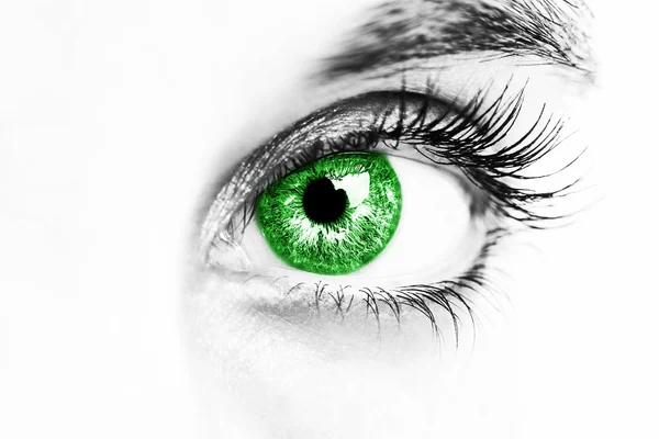 Beaux yeux de look vert perspicace — Photo