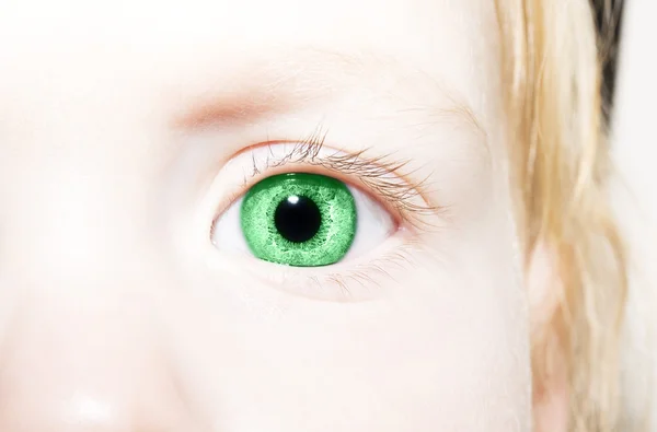 Beaux yeux de look vert perspicace — Photo