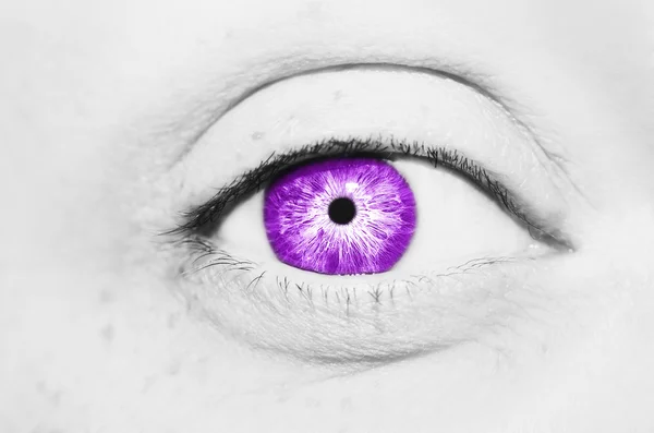 아름 다운 통찰력 보이는 컬러 눈 — 스톡 사진