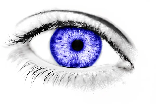 아름 다운 통찰력 보이는 컬러 눈 — 스톡 사진
