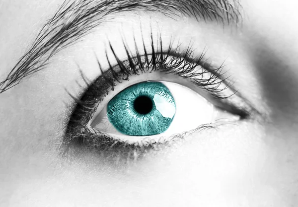 Vackra insiktsfulla titt färg ögon — Stockfoto