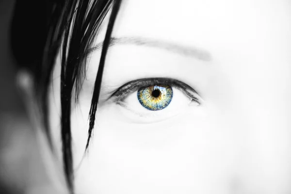 Beau regard perspicace yeux de couleur — Photo