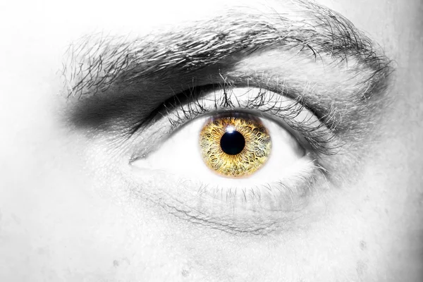 Beautiful insightful look colour eyes — Stock Photo, Image