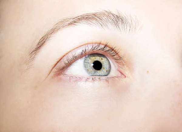 Hermosa mirada perspicaz ojos de color —  Fotos de Stock