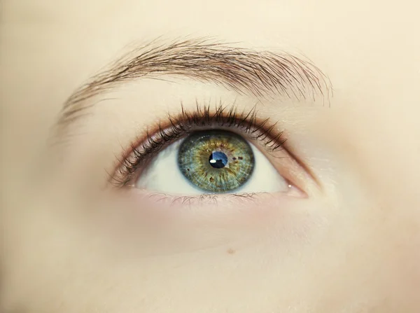 Beautiful insightful look eyes — Stock Photo, Image