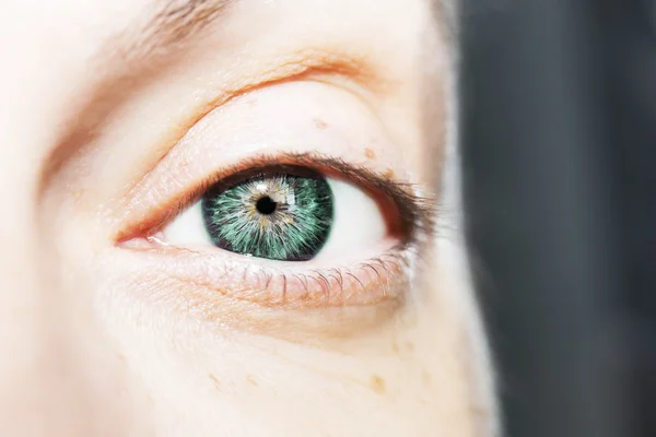 Beautiful insightful look eyes — Stock Photo, Image