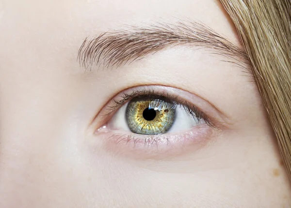 Güzel anlayışlı bakışlar.