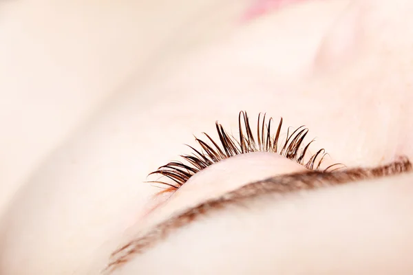 Macro curling eyelashes — Stock Photo, Image