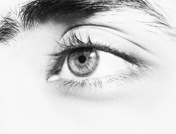 Schöne aufschlussreiche Augen — Stockfoto