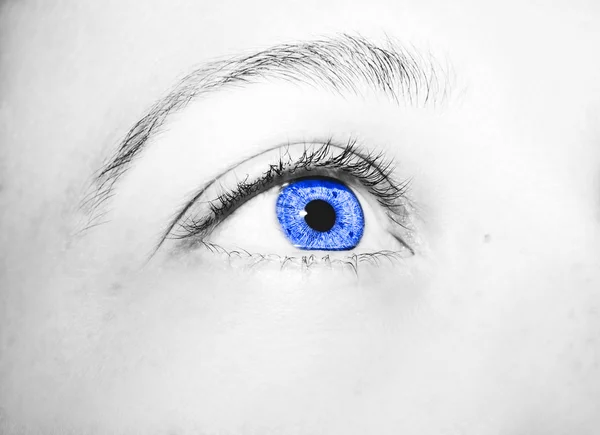 Beautiful insightful look eyes — Stock Photo, Image