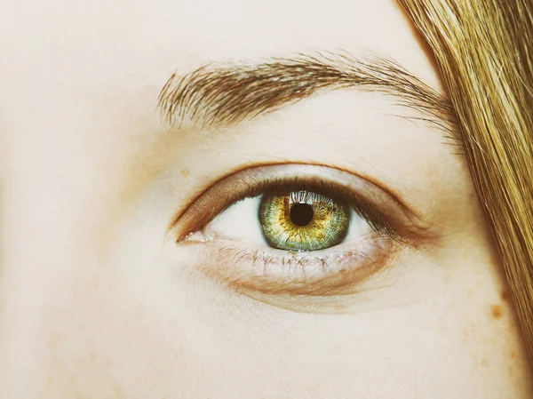 Hermosa mirada perspicaz ojos —  Fotos de Stock