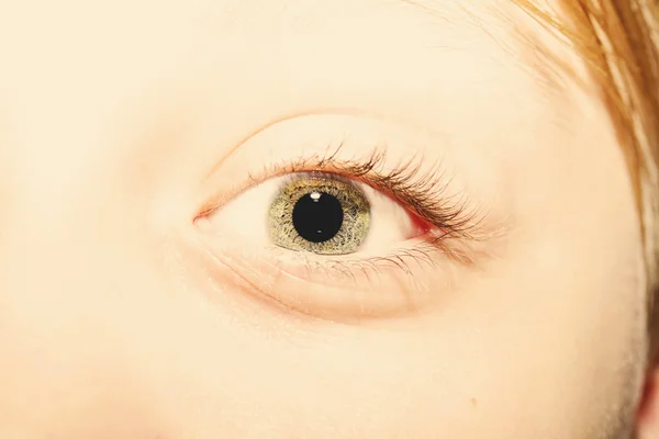 Belo olhar perspicaz olhos — Fotografia de Stock