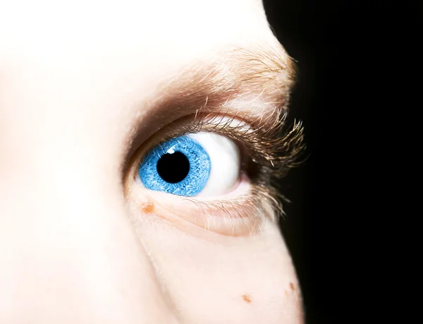 Красивый проницательный взгляд голубые глаза — стоковое фото