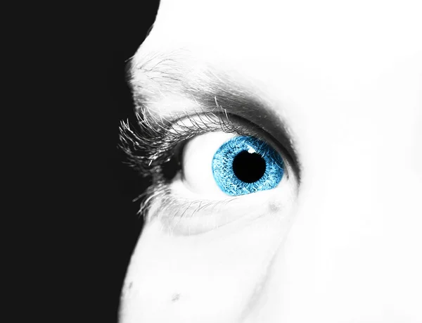 아름 다운 통찰력 보이는 파란 눈 — 스톡 사진
