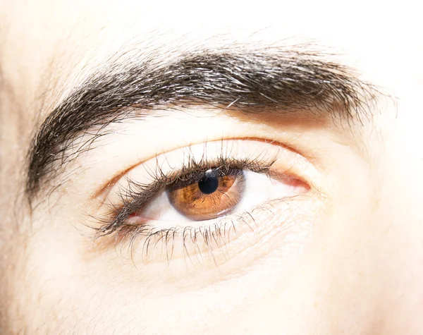 Image of man's brown eye close up. — Stock Photo, Image