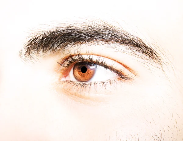 Image de l'oeil brun de l'homme de près . — Photo