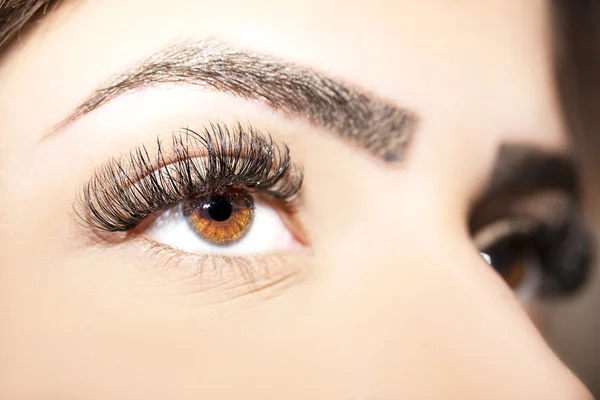 Göz makyajı. Güzel gözler makyaj ayrıntı, kirpik uzatma
