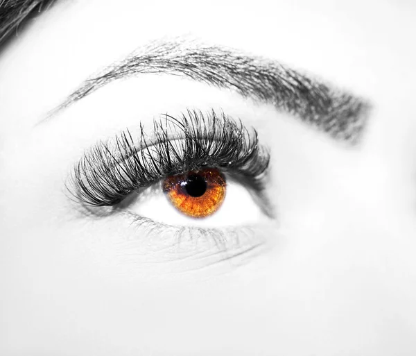 Augen Make-up. schöne Augen Make-up Detail, Wimpernverlängerung — Stockfoto