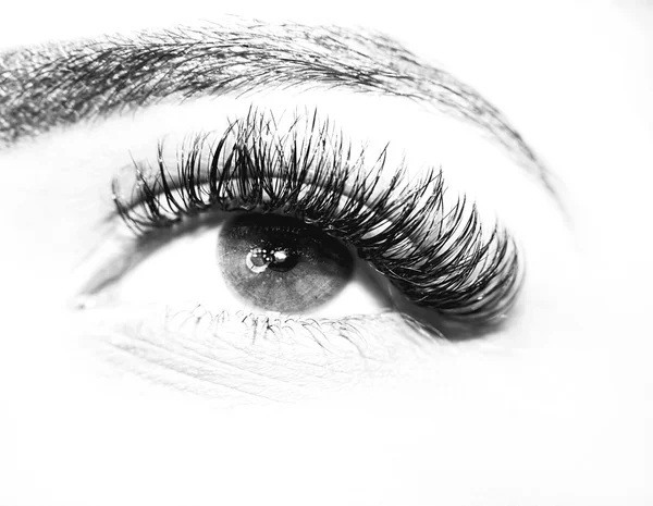 Eye Makeup. Beautiful Eyes Make up detail, eyelash extension — Stock Photo, Image