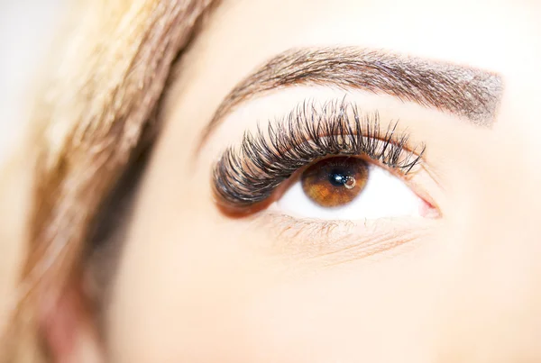 Maquillaje de ojos. Hermosos ojos Maquillaje detalle, extensión de pestañas — Foto de Stock