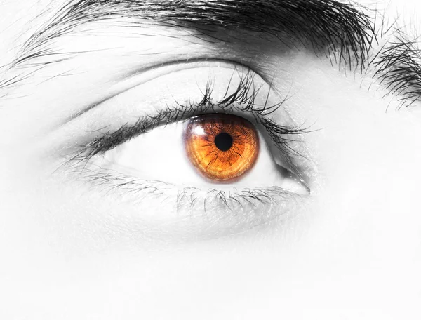 Bild des braunen Auges des Menschen aus nächster Nähe. — Stockfoto