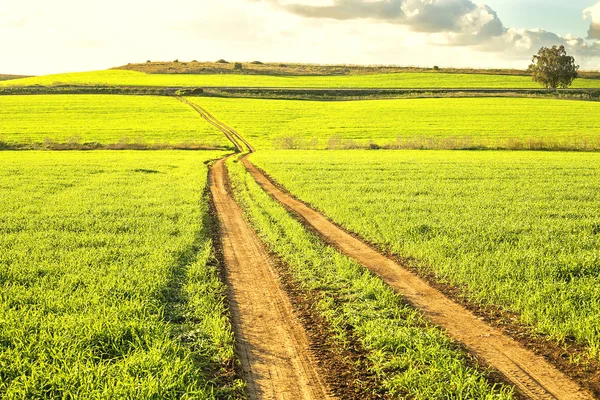 Vackra landskap med en träd, moln och himmel — Stockfoto