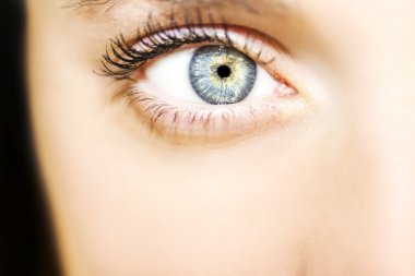 Güzel anlayışlı bakışlar.