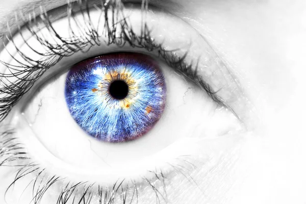 아름다운 통찰력있는 눈 — 스톡 사진