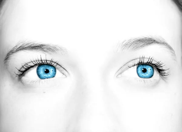 Beautiful insightful look eyes — Stock Photo, Image