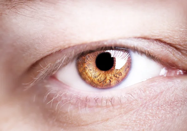 Зображення коричневого ока людини крупним планом . — стокове фото