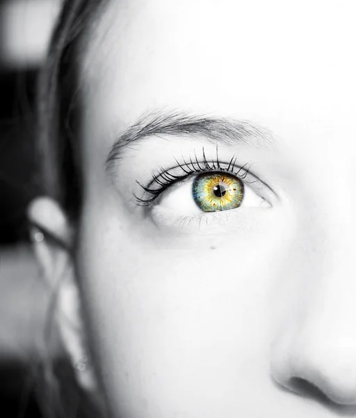 Beautiful insightful look  woman's eyes — Stock Photo, Image