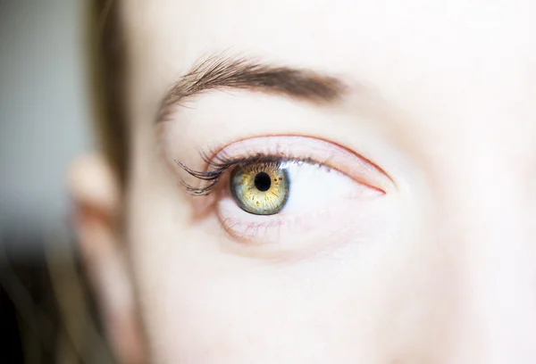 Hermosa mirada perspicaz ojos —  Fotos de Stock