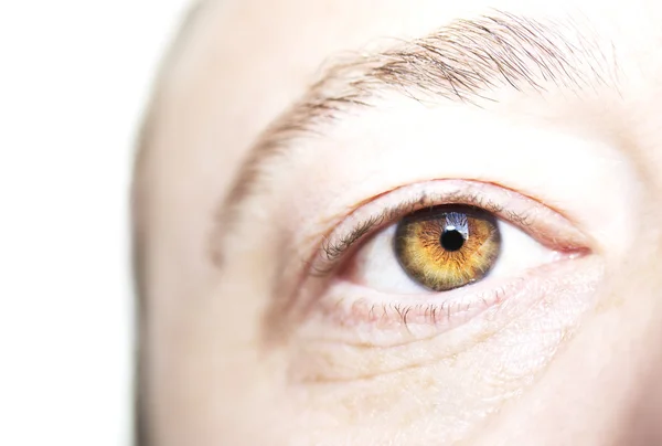 Image of man 's brown eye close up . — стоковое фото