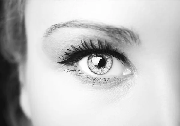 Krásný bystrý pohled oči — Stock fotografie