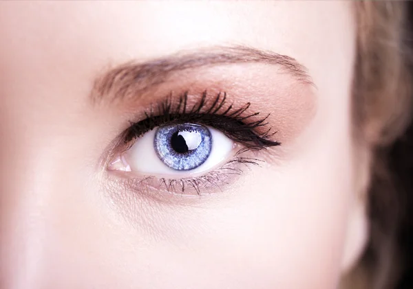 Schöner aufschlussreicher Blick blaues Auge — Stockfoto