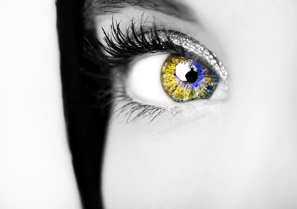 Schöner, aufschlussreicher Blick blaue Augen — Stockfoto